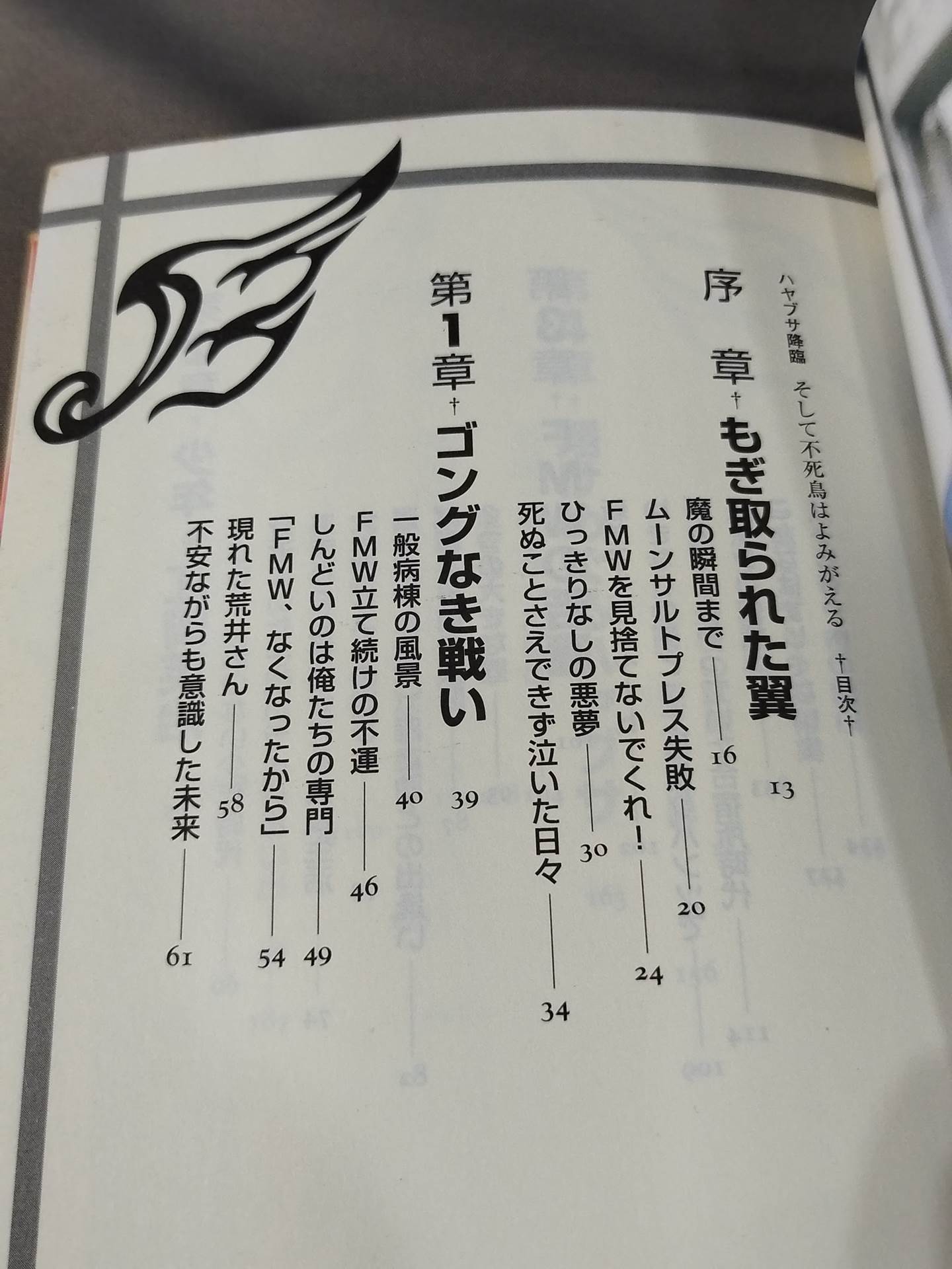 ハヤブサ降臨 そして不死鳥はよみがえる