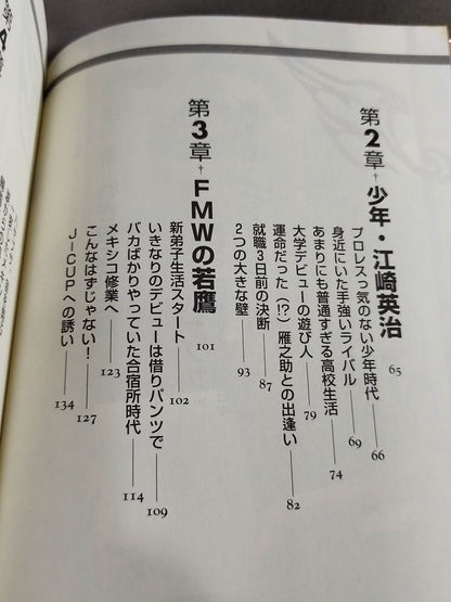 ハヤブサ降臨 そして不死鳥はよみがえる
