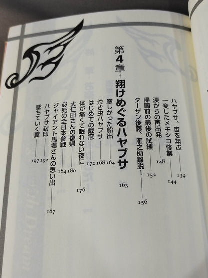 ハヤブサ降臨 そして不死鳥はよみがえる