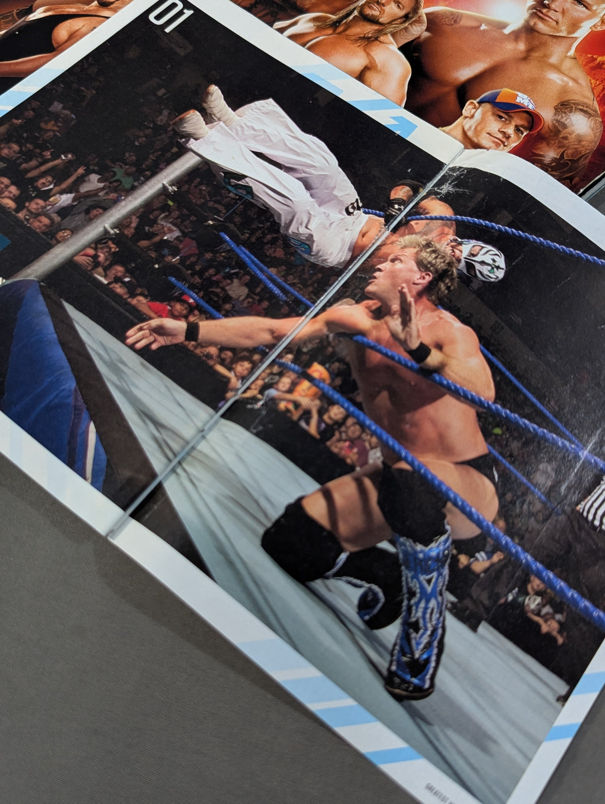 WWE SUPERSTAR YEARBOOK OFFICIAL ROSTER