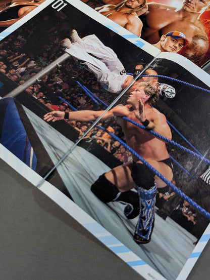 WWE SUPERSTAR YEARBOOK OFFICIAL ROSTER