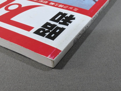 ミック博士の昭和プロレスマガジン第23号 / 特集 国際プロレス第8弾