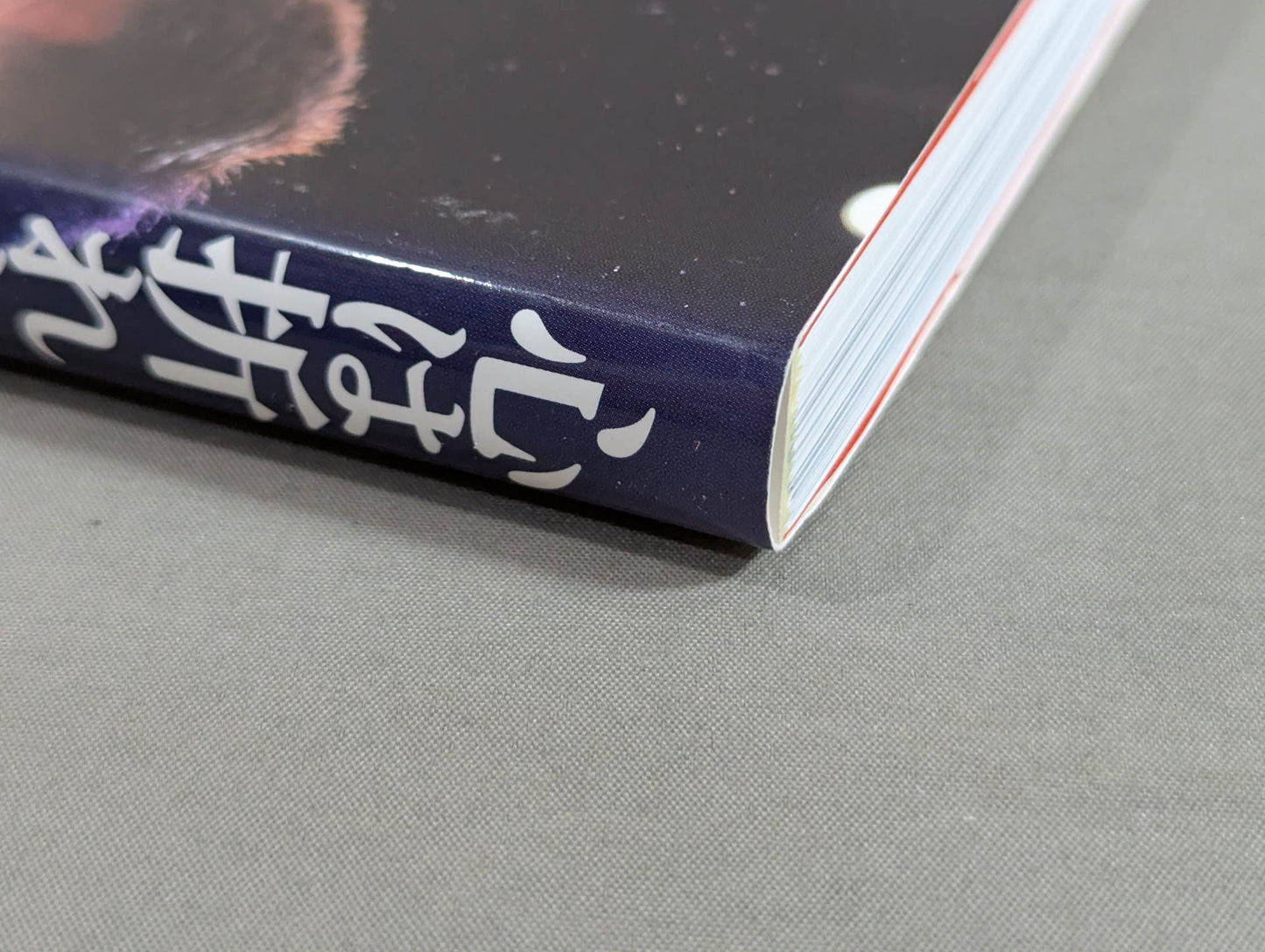 【直筆サイン入り】心は折れない