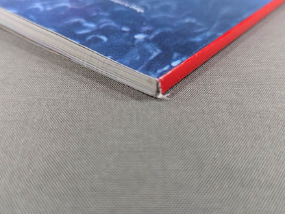 WWE THE YEAR IN PHOTOS 2010