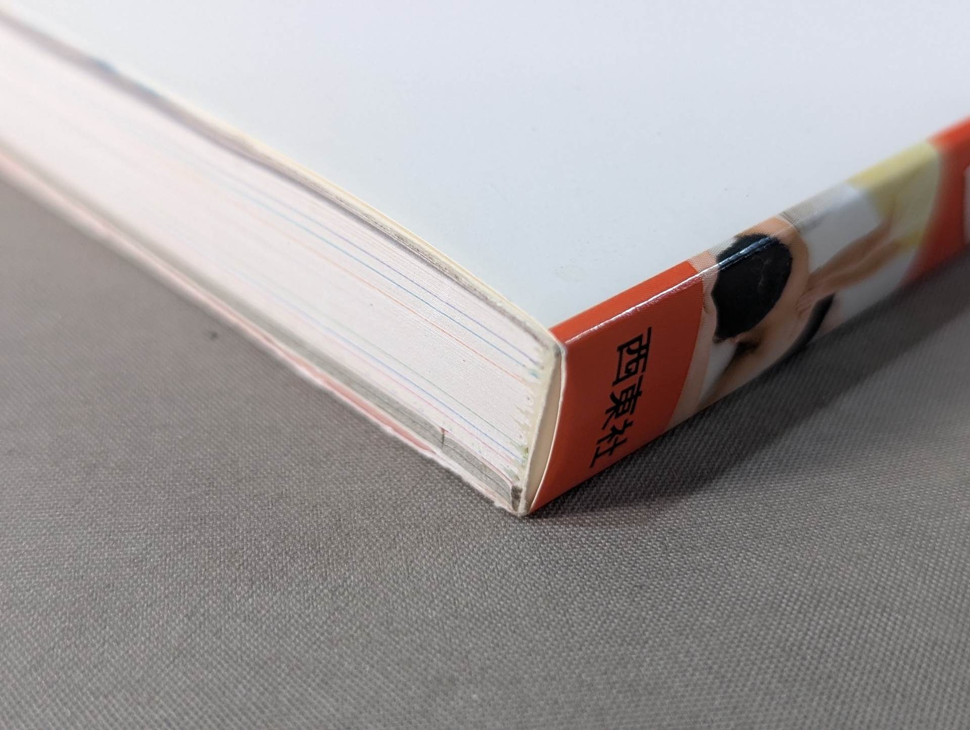 DVDスポーツマッサージ – 闘道館