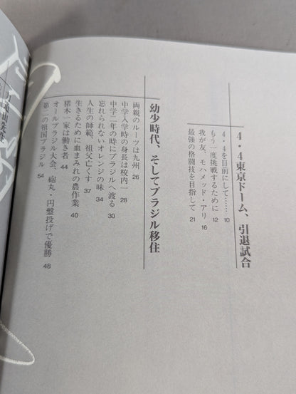 Immortal Fighting Spirit