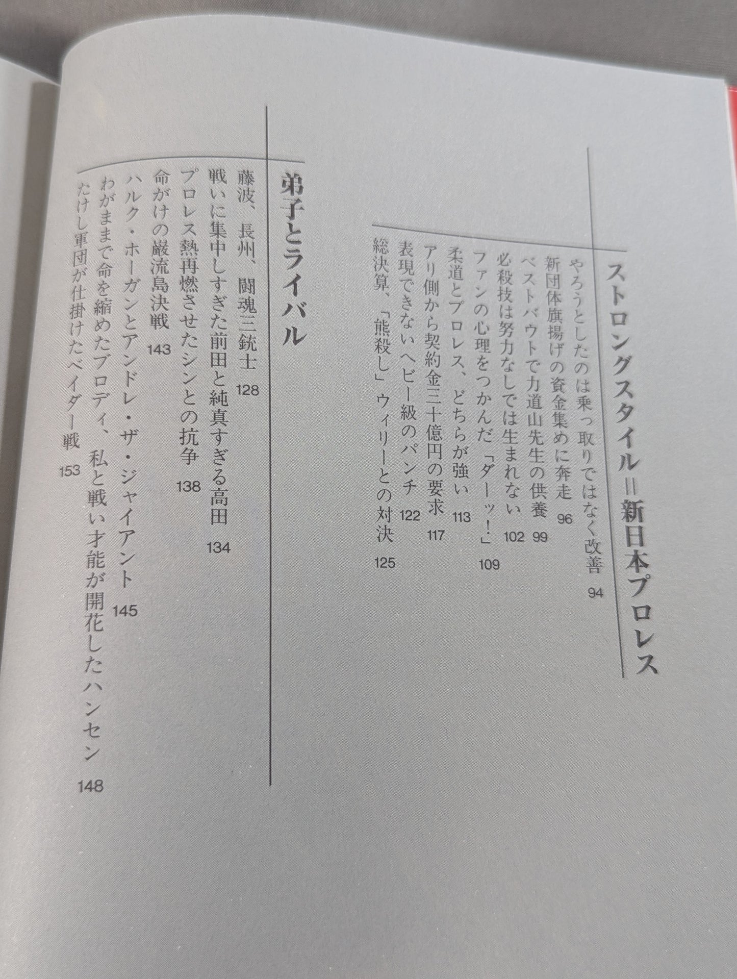 Immortal Fighting Spirit