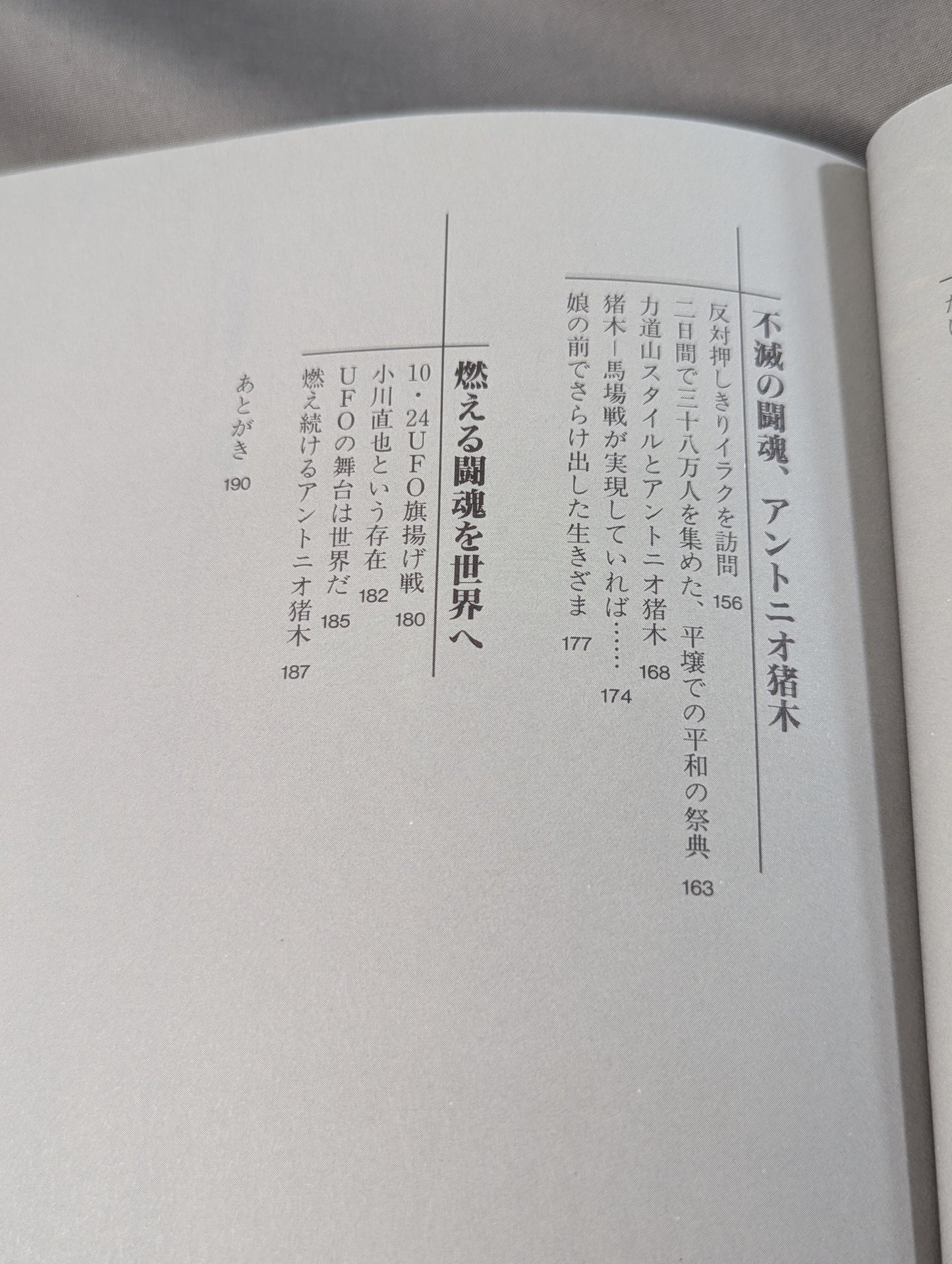 Immortal Fighting Spirit