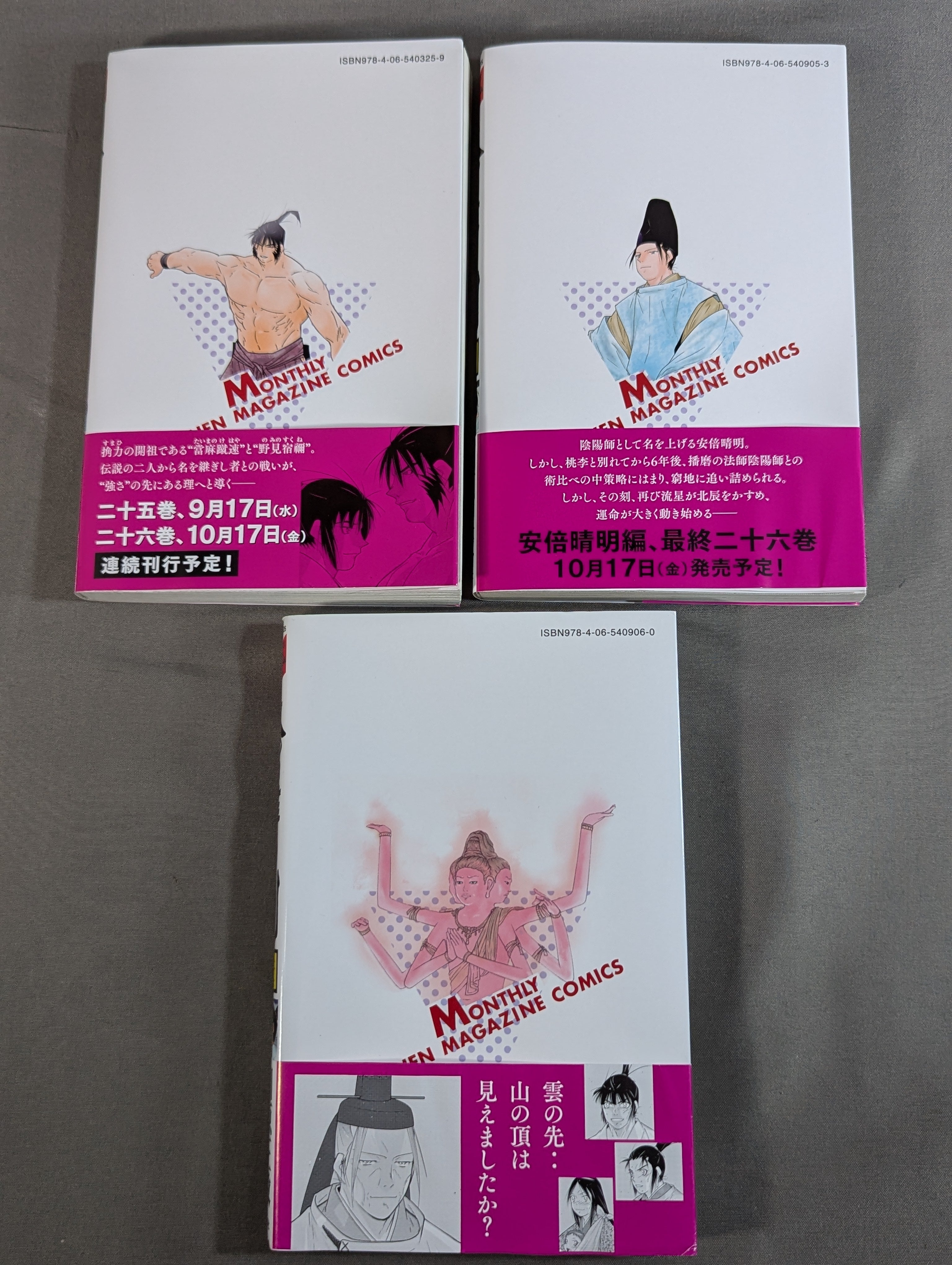 全26巻セット】陸奥圓明流外伝 修羅の刻 – 闘道館