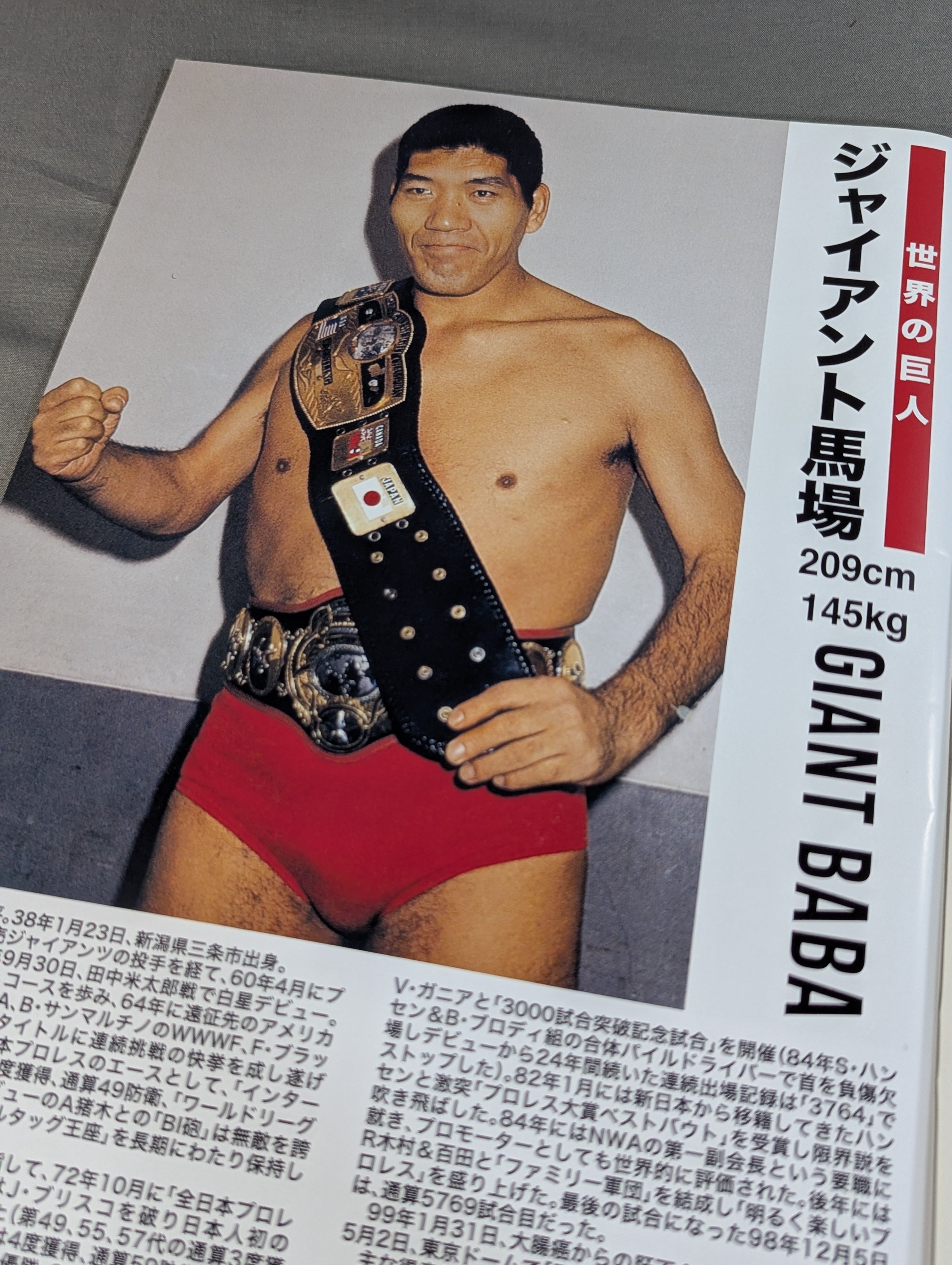 我が心のジャイアント馬場・完全保存版／日刊スポーツグラフ。【66頁　美品】 完全保存版 我が心のジャイアント馬場 – 闘道館