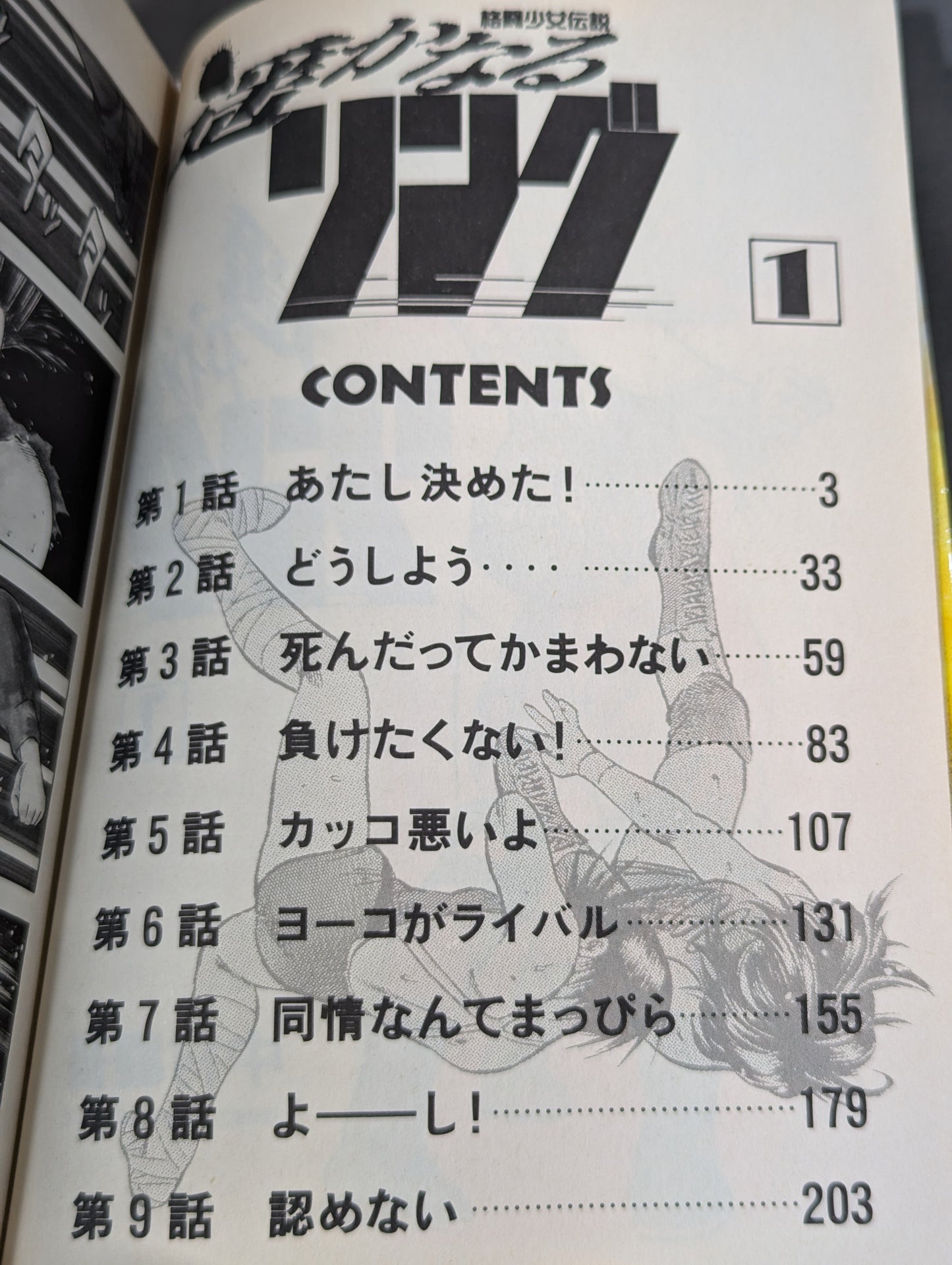 【4 Volumes Set】The Legend of the Fighting Girl Faraway Ring