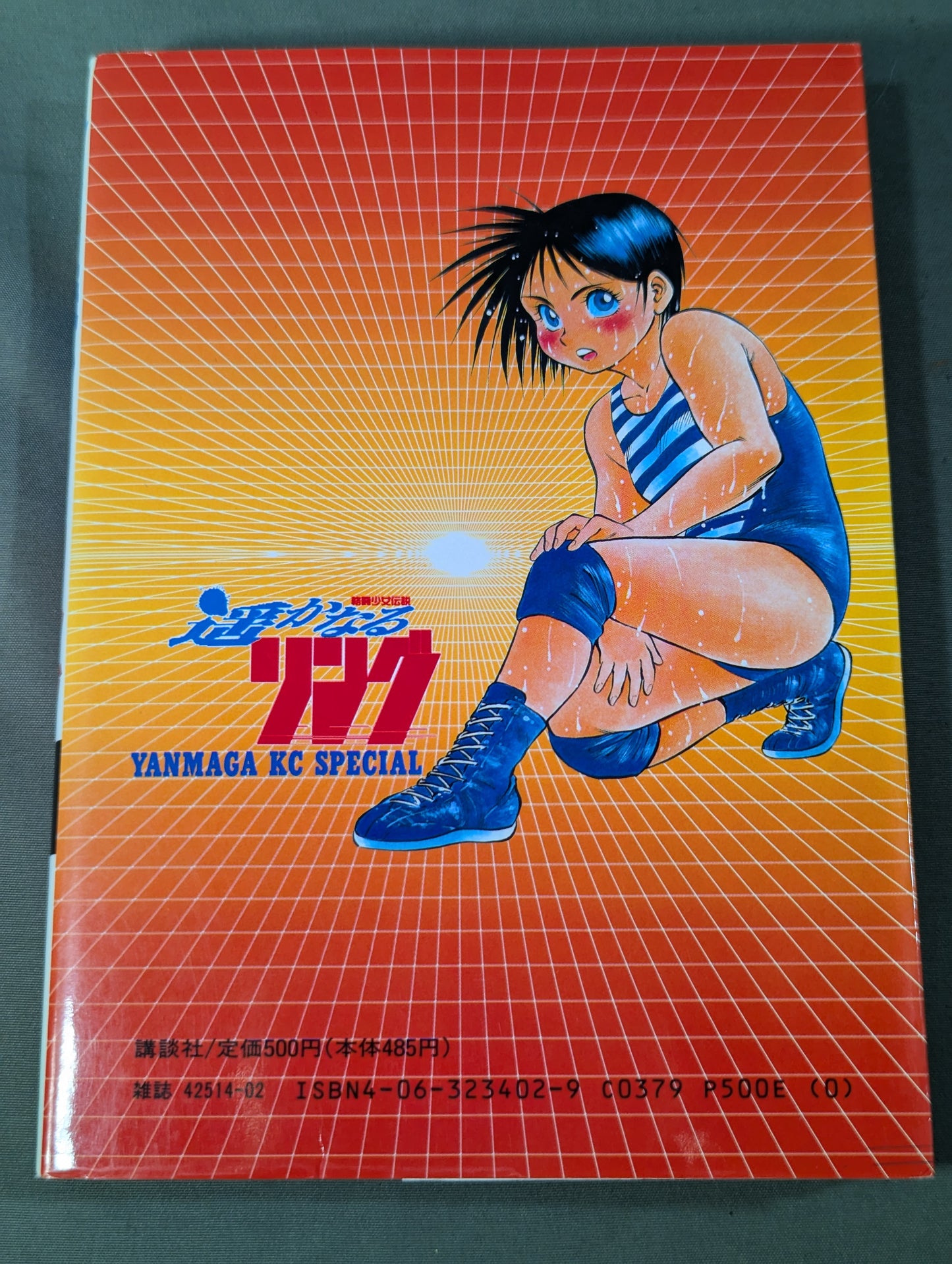 【4 Volumes Set】The Legend of the Fighting Girl Faraway Ring