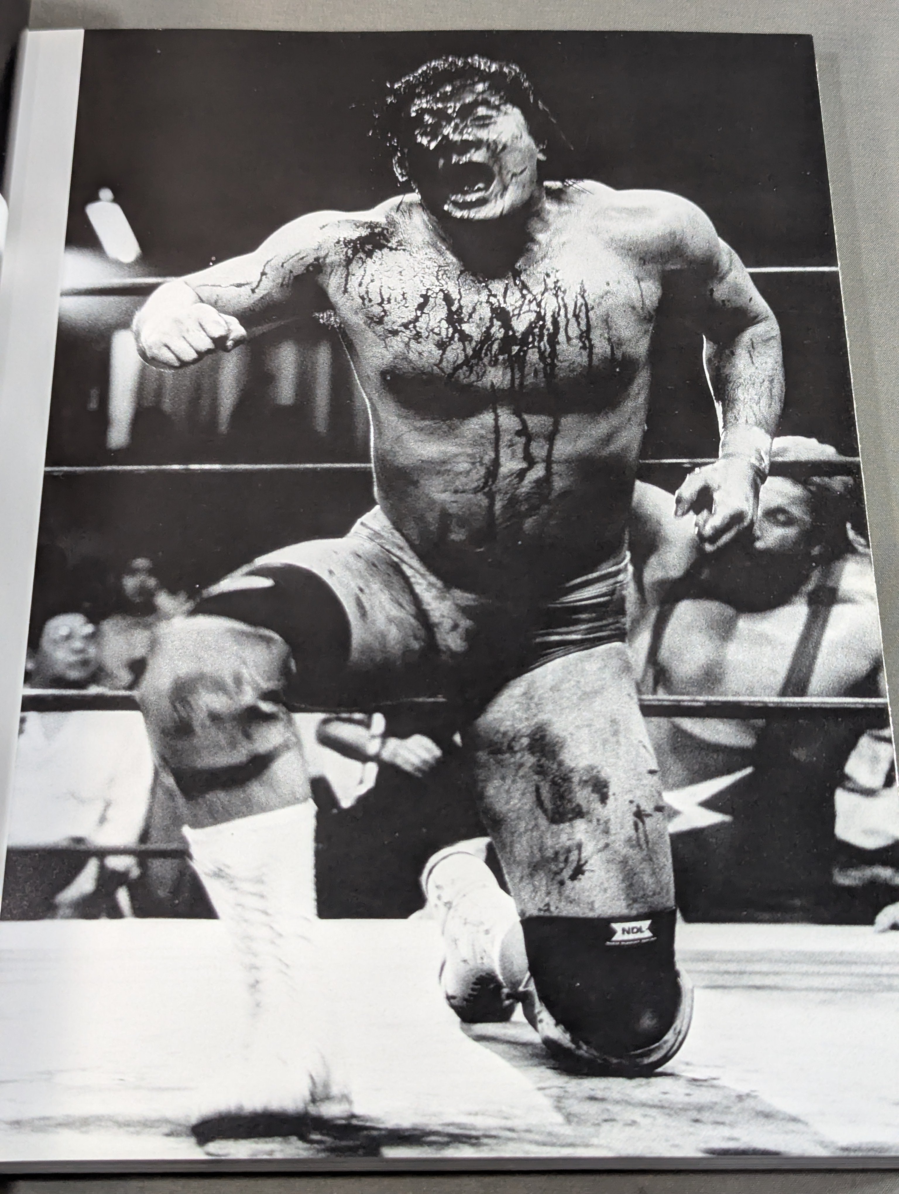 新日本プロレス写真集 超戦写 – 闘道館