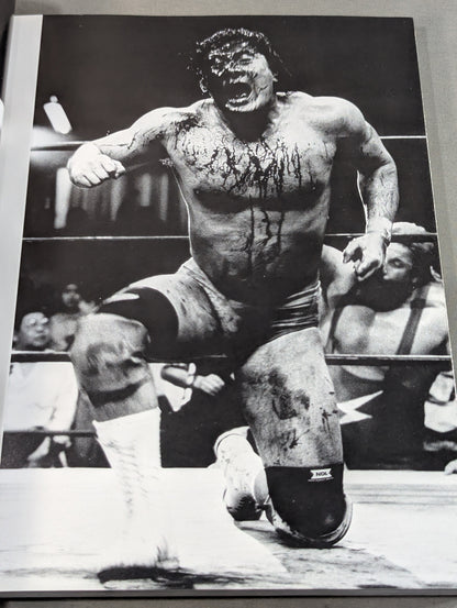 New Japan Pro Wrestling photo  episode Super War Shot