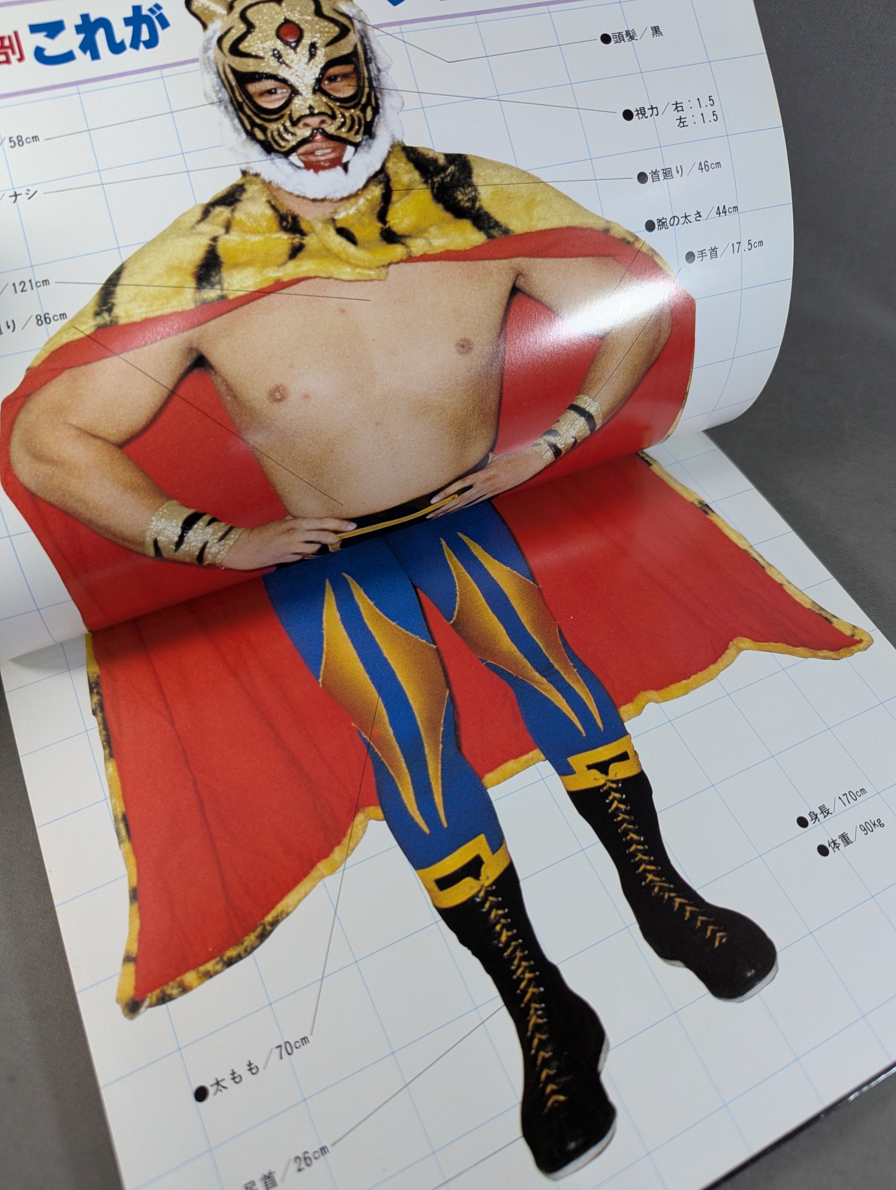 タイガーマスク写真集 テレビ朝日ゴールデンアルバム – 闘道館