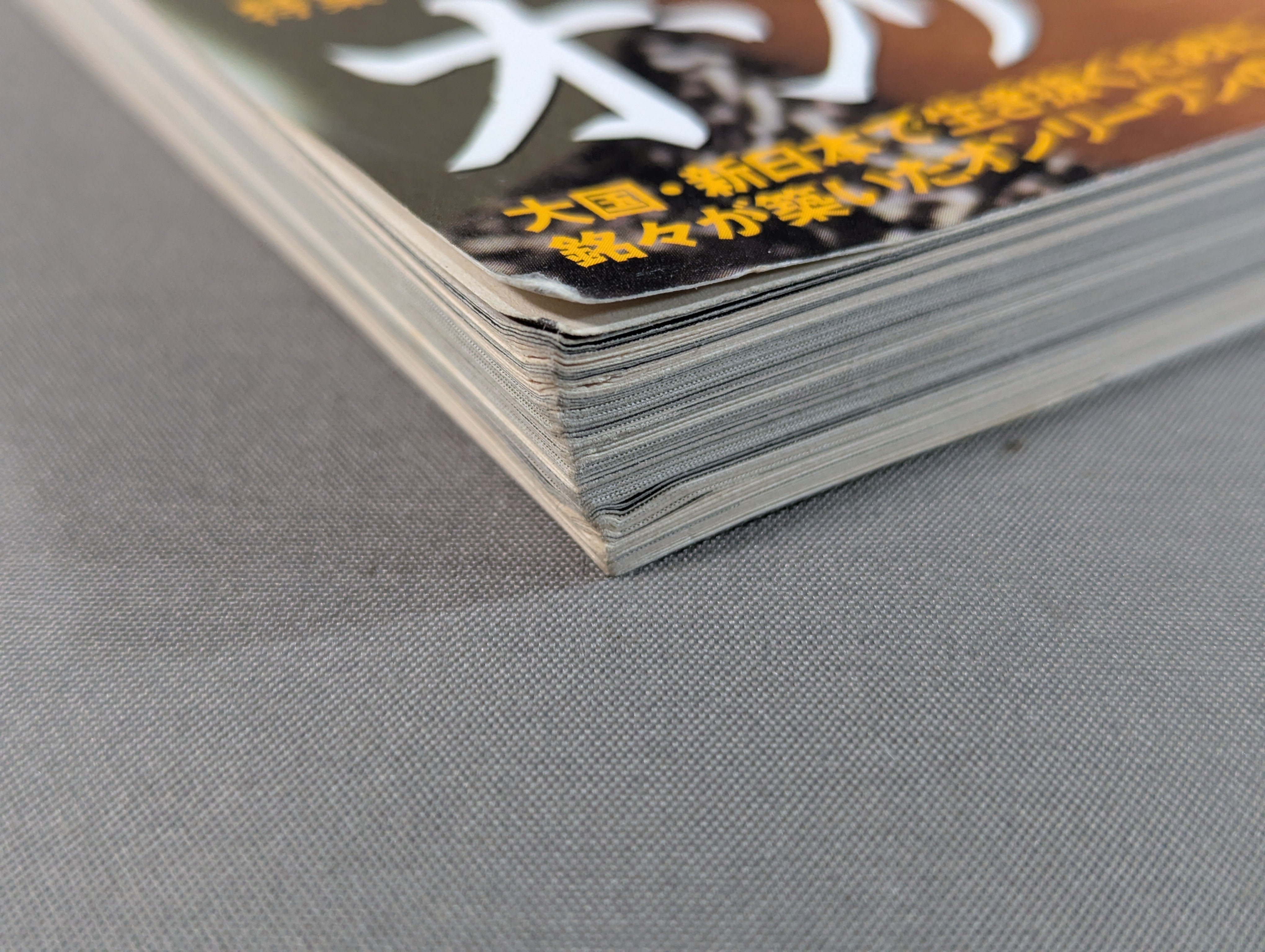 プロレスの達人Vol.15 新日本プロレスオンリーワンの咆哮。 – 闘道館