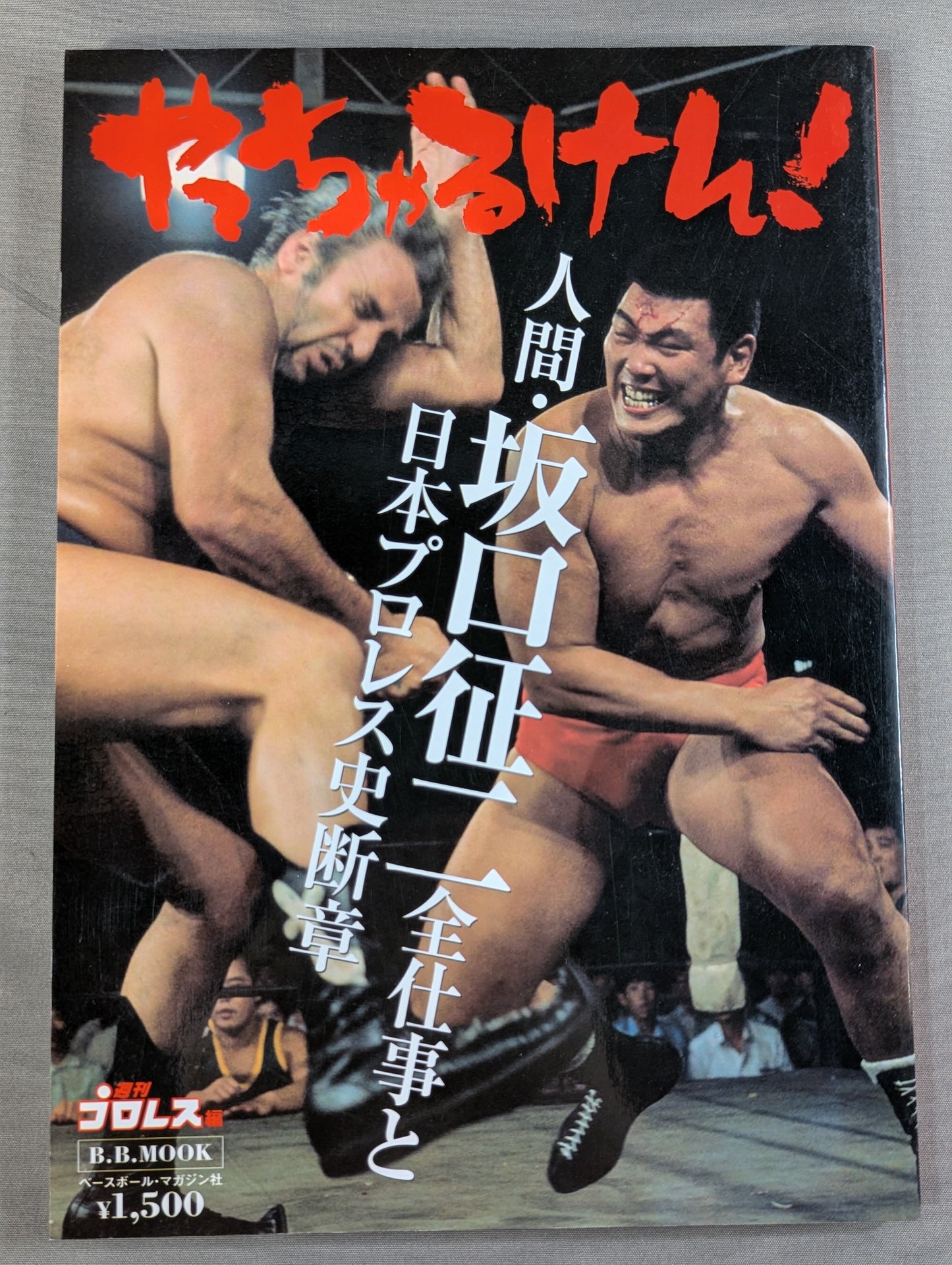 I'm going to do it! ~The Complete Work of Seiji Sakaguchi and the History of Japan's Pro Wrestling~