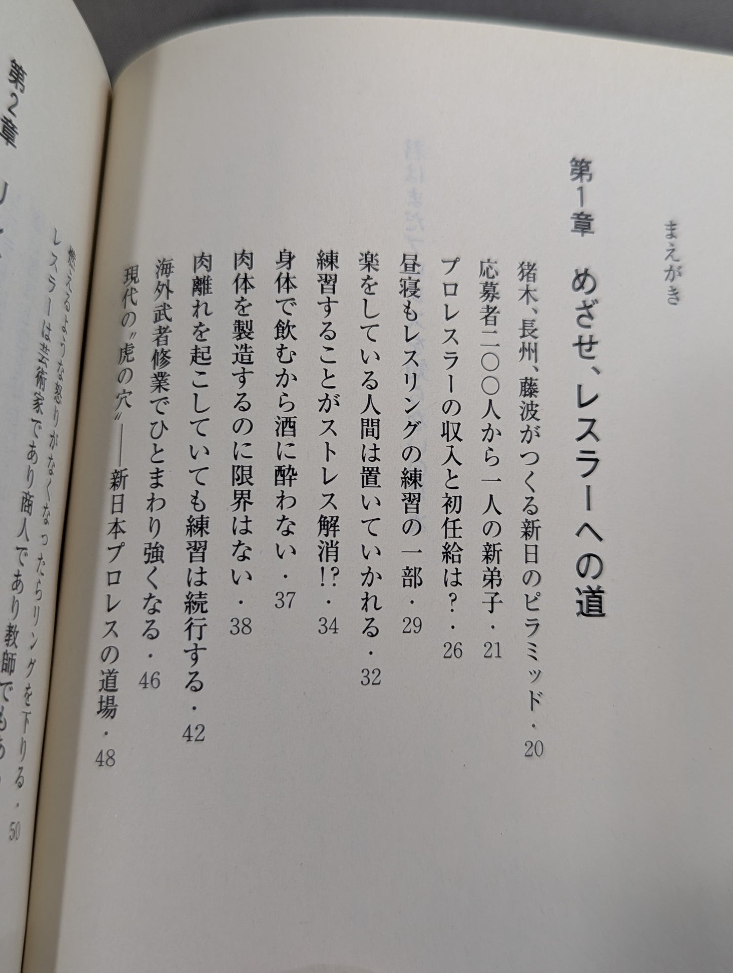 君はまだプロレスを知らない 格闘技哲学宣言