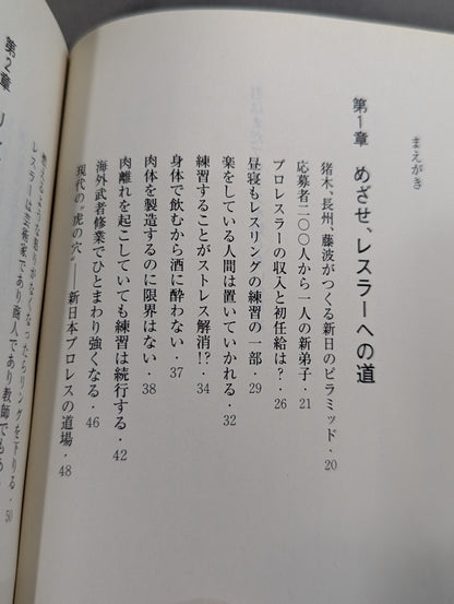 君はまだプロレスを知らない 格闘技哲学宣言