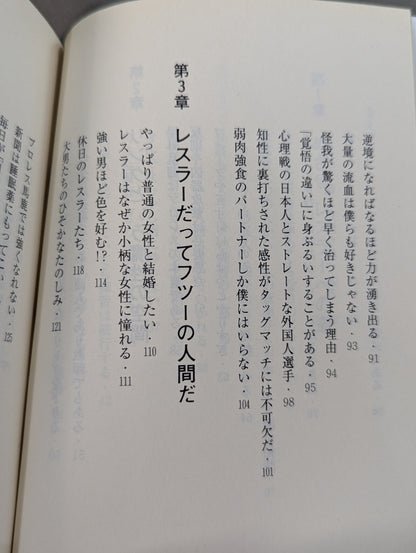 君はまだプロレスを知らない 格闘技哲学宣言