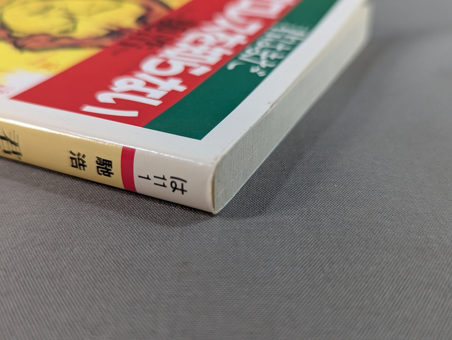 君はまだプロレスを知らない 格闘技哲学宣言