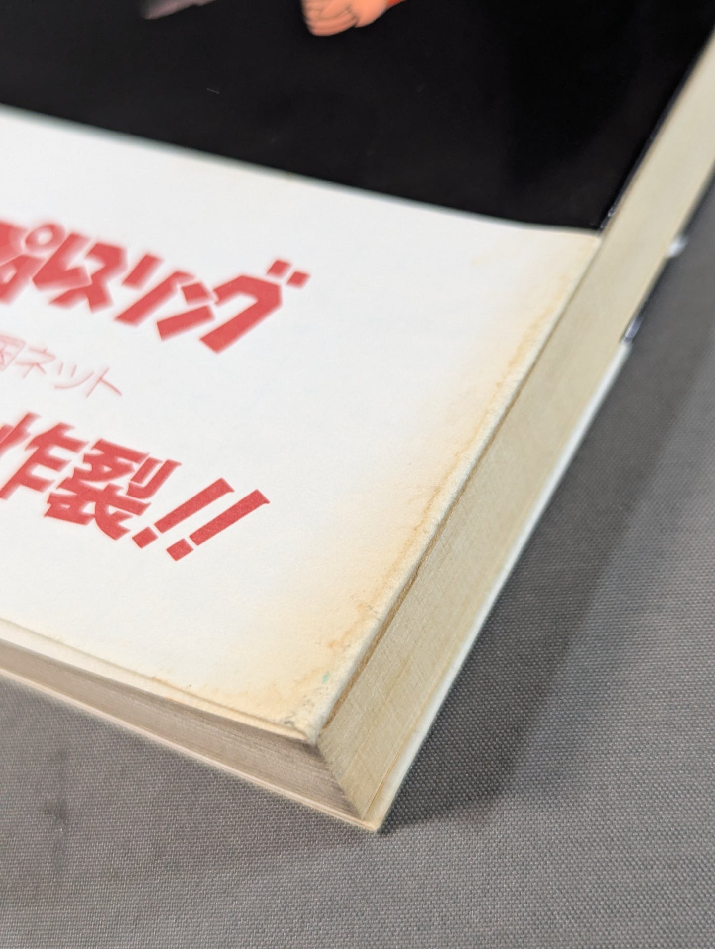 リングの外も危険がいっぱい ケロの新日本プロレス旅日記