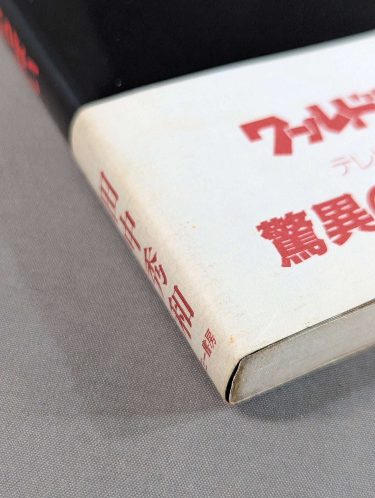 リングの外も危険がいっぱい ケロの新日本プロレス旅日記