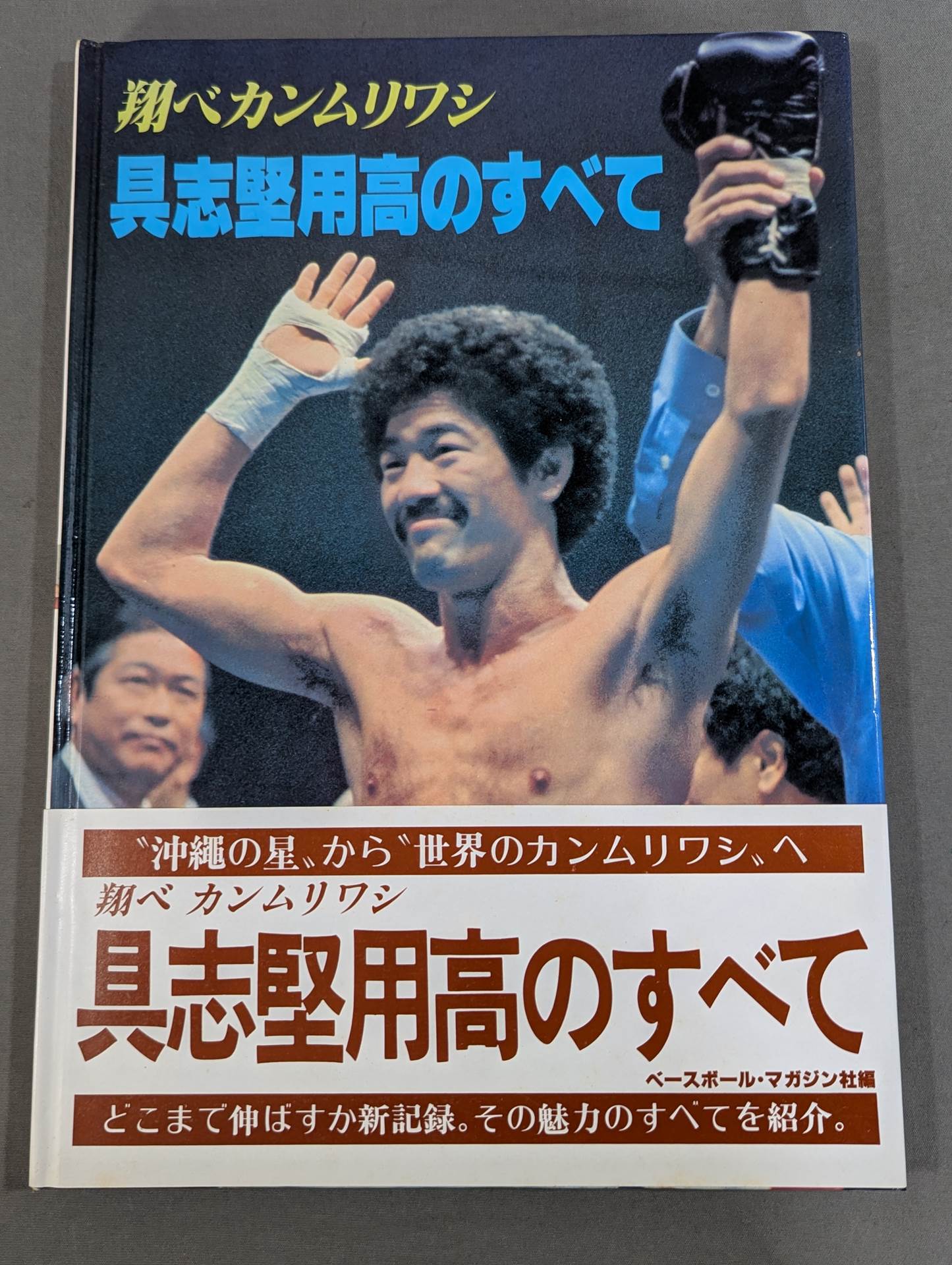 All about Yoko Gushiken  Shobe Crested Eagle