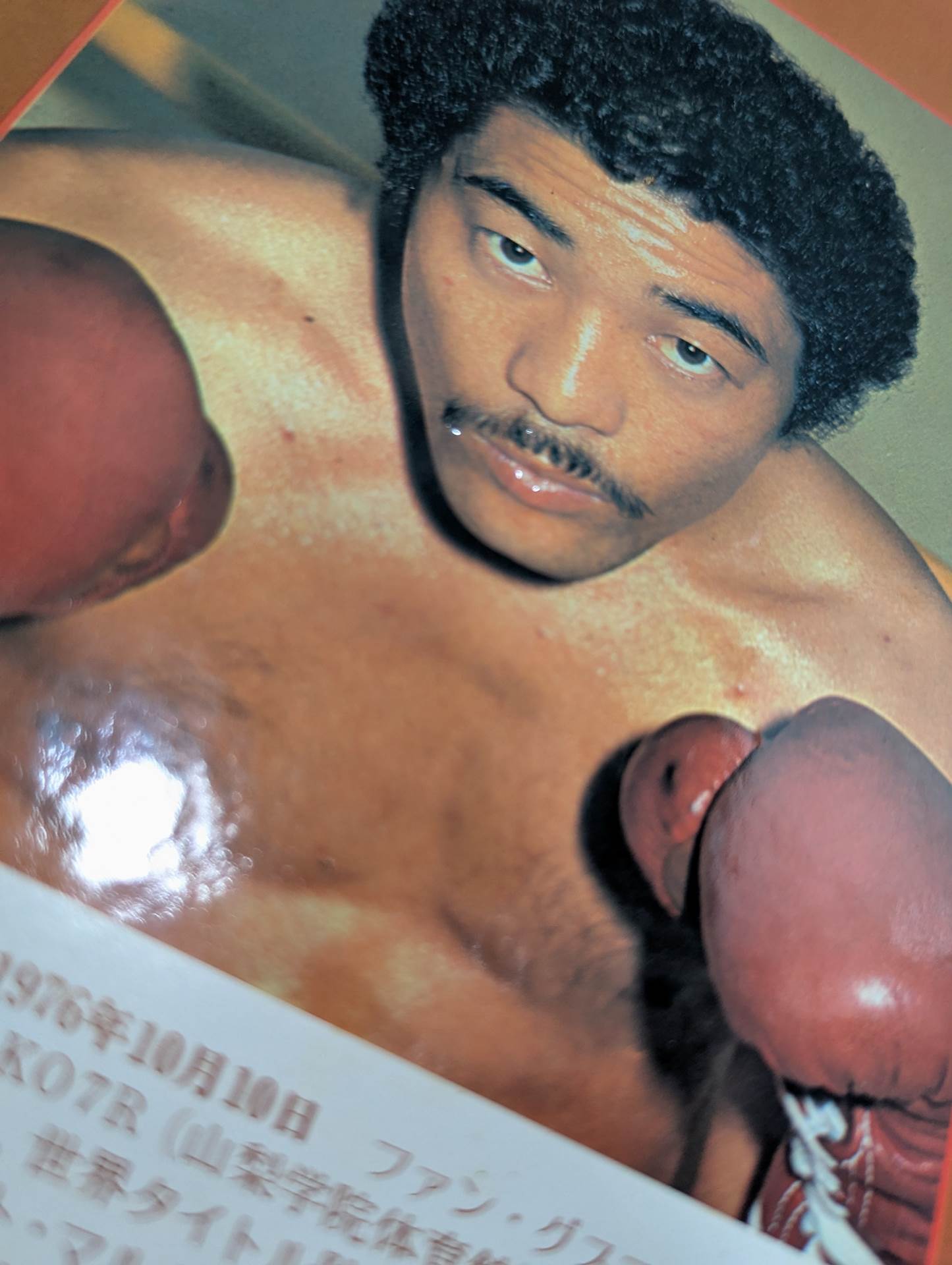 All about Yoko Gushiken  Shobe Crested Eagle