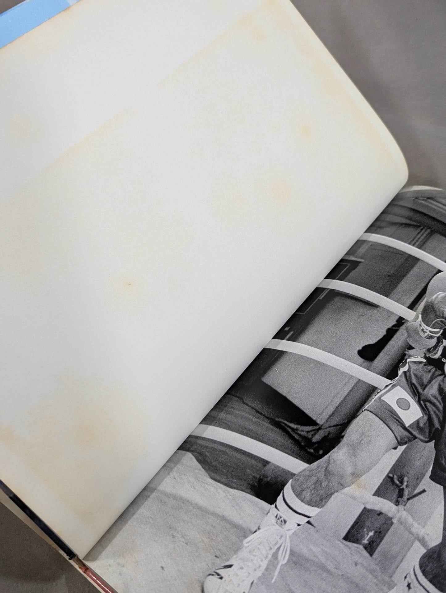 All about Yoko Gushiken  Shobe Crested Eagle