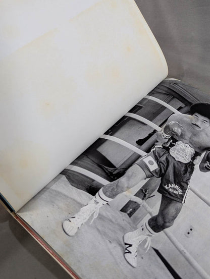 All about Yoko Gushiken  Shobe Crested Eagle