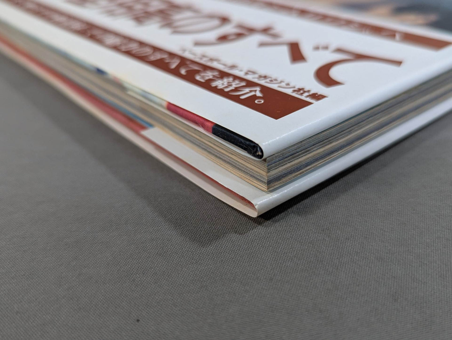 All about Yoko Gushiken  Shobe Crested Eagle