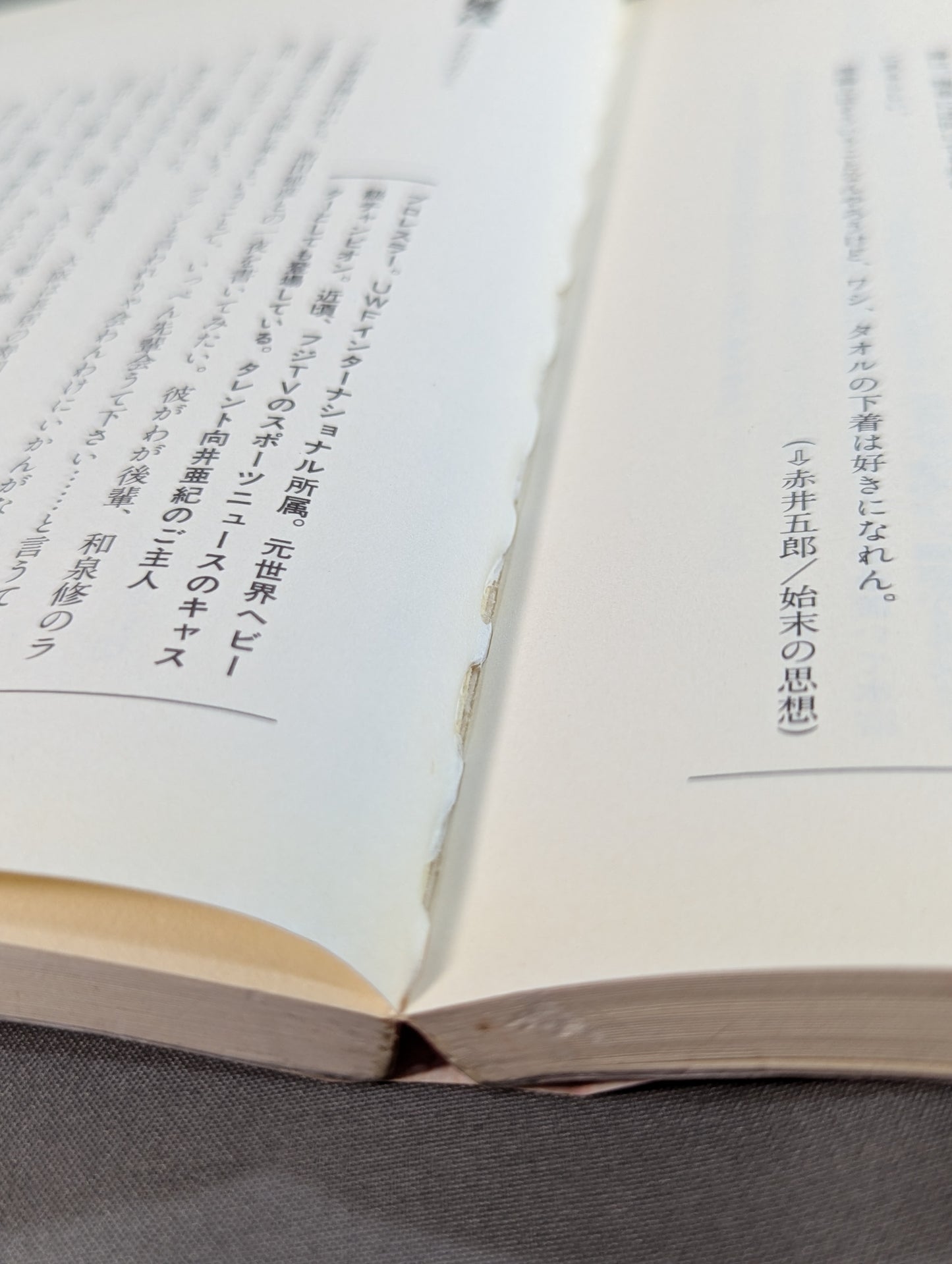 English-Japanese Dictionary (in alphabetical order)