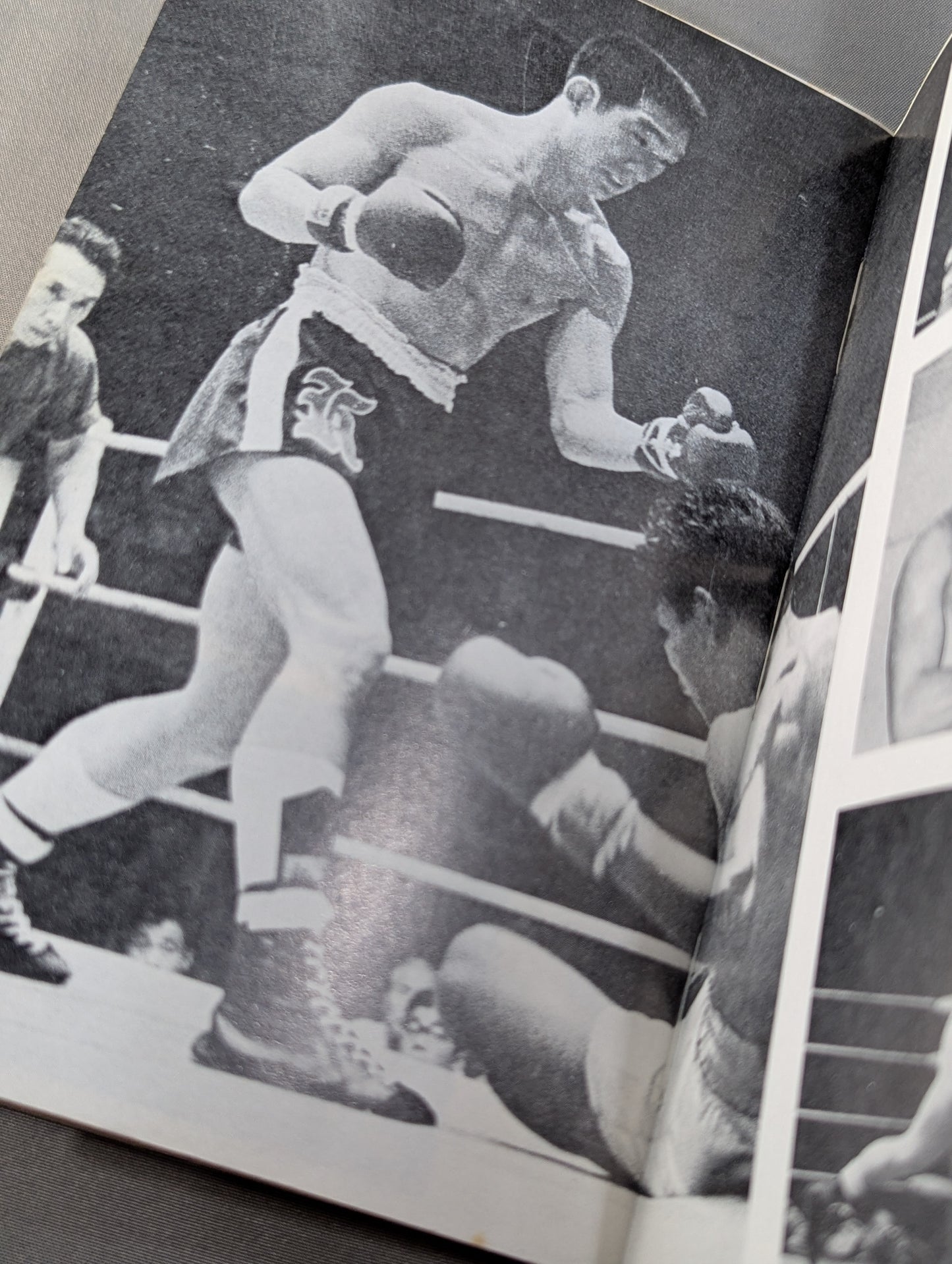 Those who are beaten: the half-life of the champion of the fish riverbank