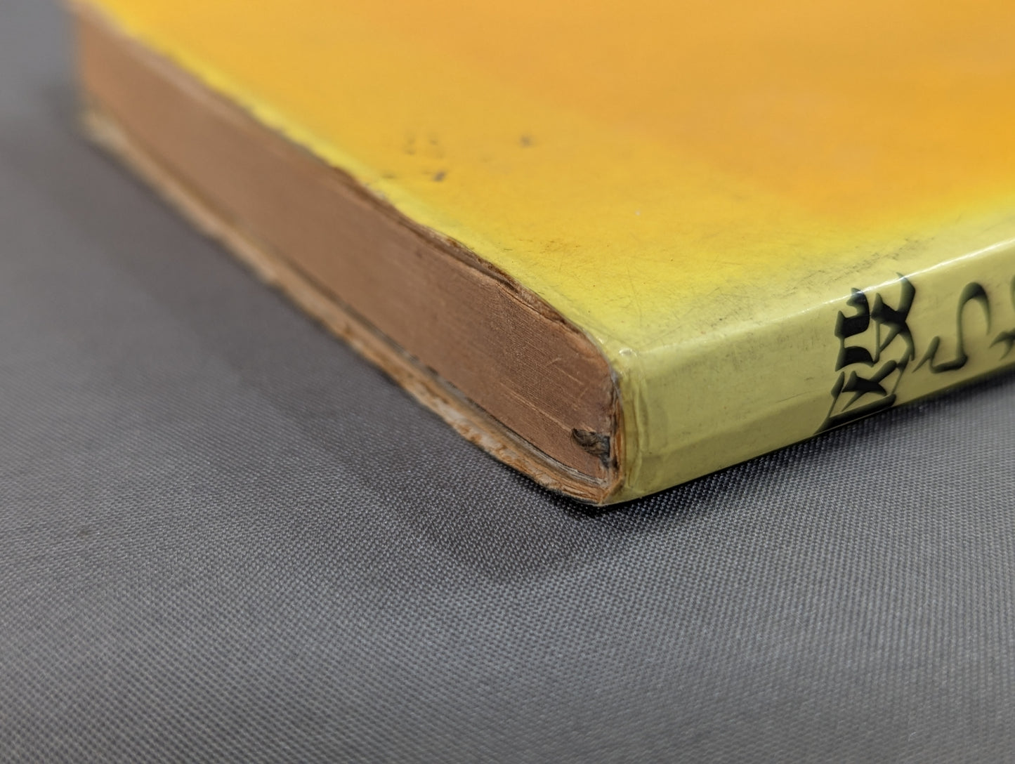 Those who are beaten: the half-life of the champion of the fish riverbank