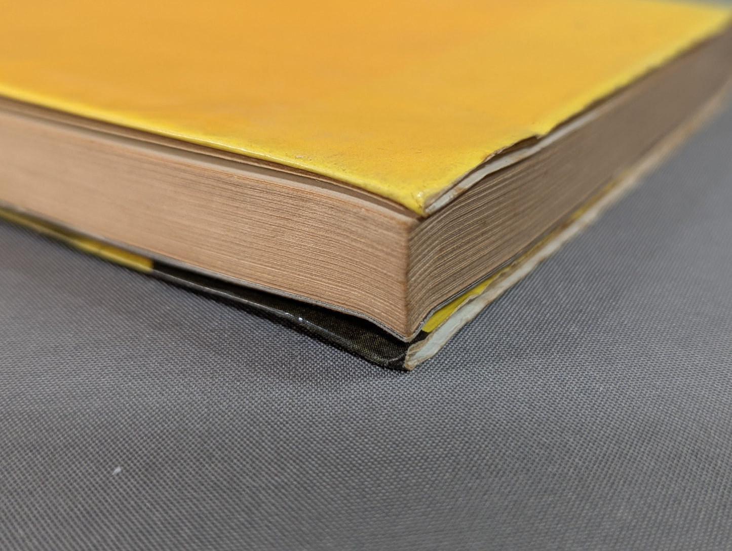 Those who are beaten: the half-life of the champion of the fish riverbank