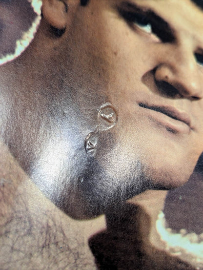 BRUNO：A Collector’s item