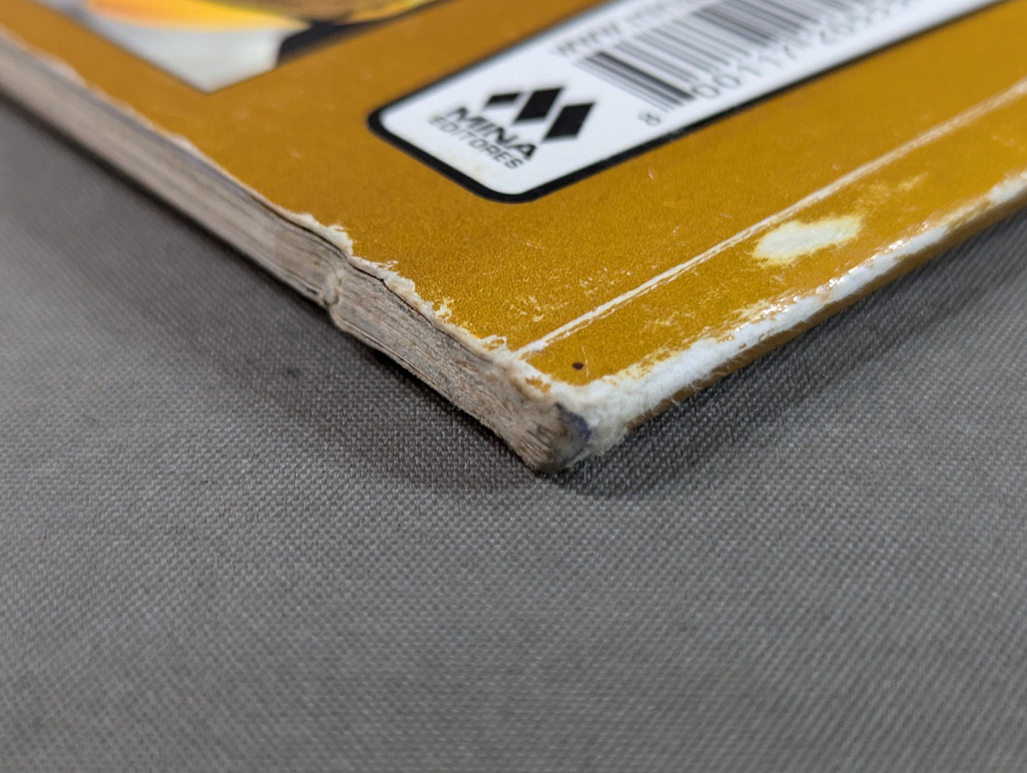 Enciclopedia de MASCARAS NUMERO 10