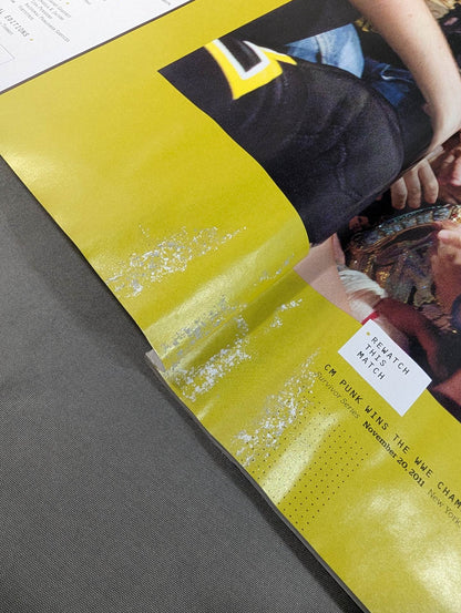 WWE THE YEAR IN PHOTOS 2011