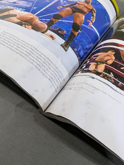 WWE THE YEAR IN PHOTOS 2011