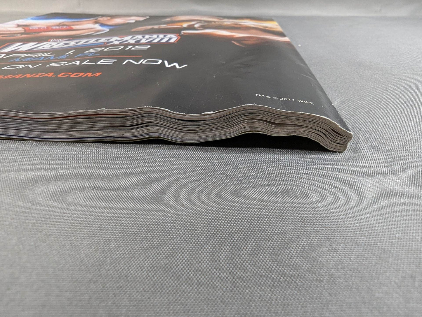 WWE THE YEAR IN PHOTOS 2011