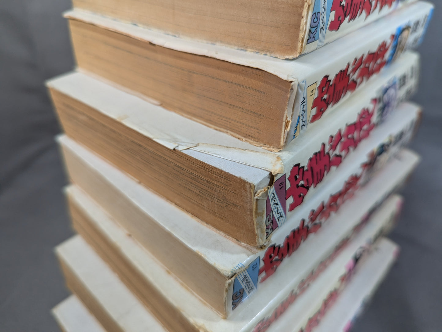 [Wide edition, 17-volume set] Karate for Life (Karate Baka Ichidai) 