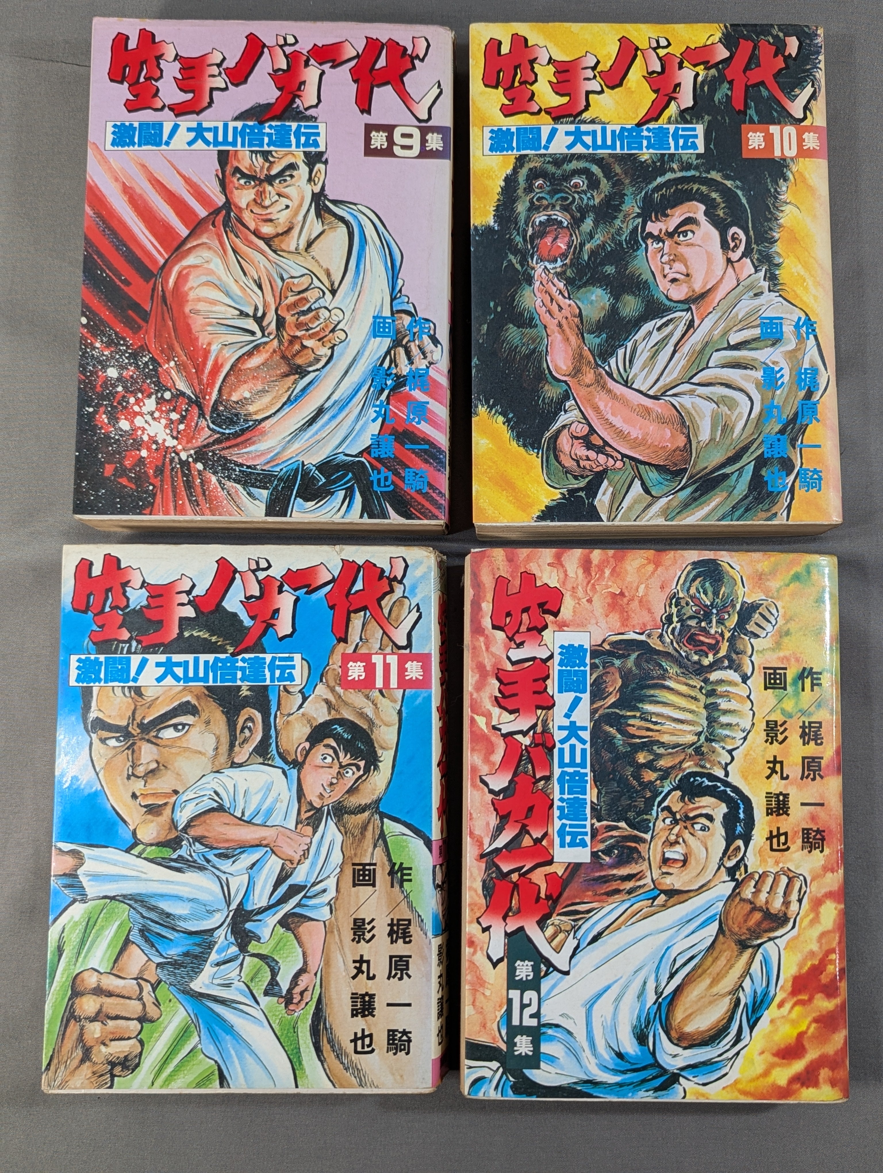 ワイド版・全17巻セット】空手バカ一代 – 闘道館