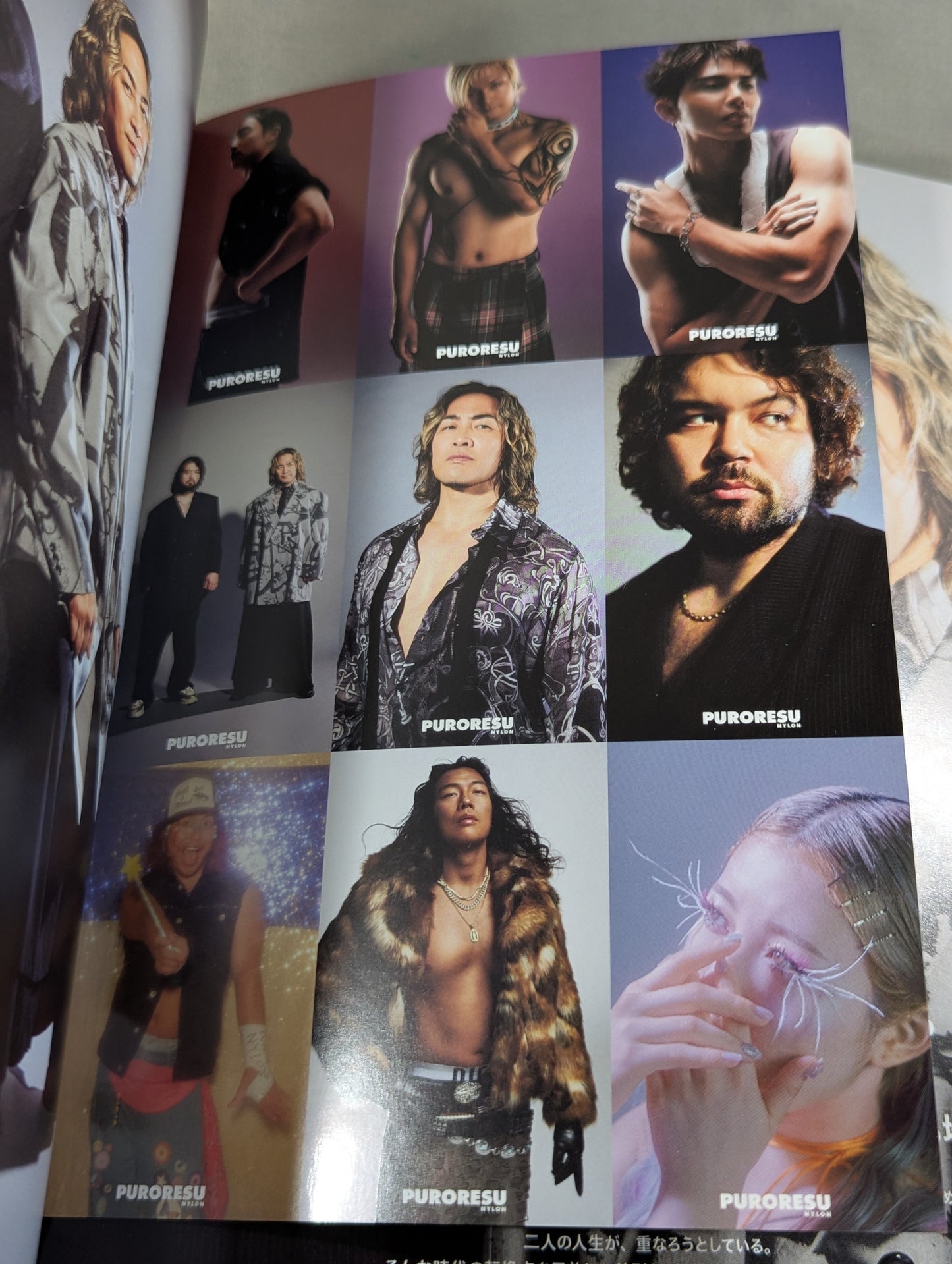 PURORESU NYLON
