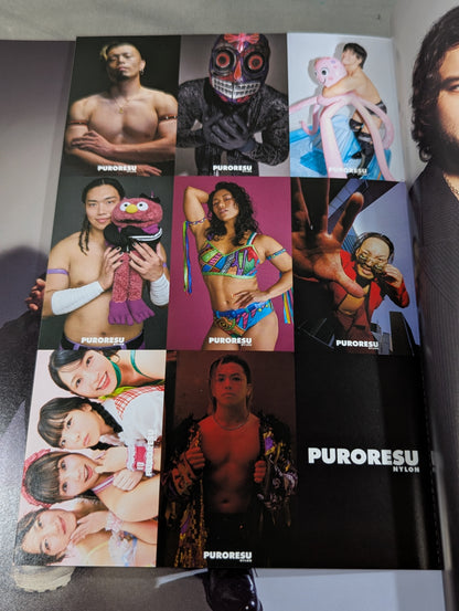 PURORESU NYLON