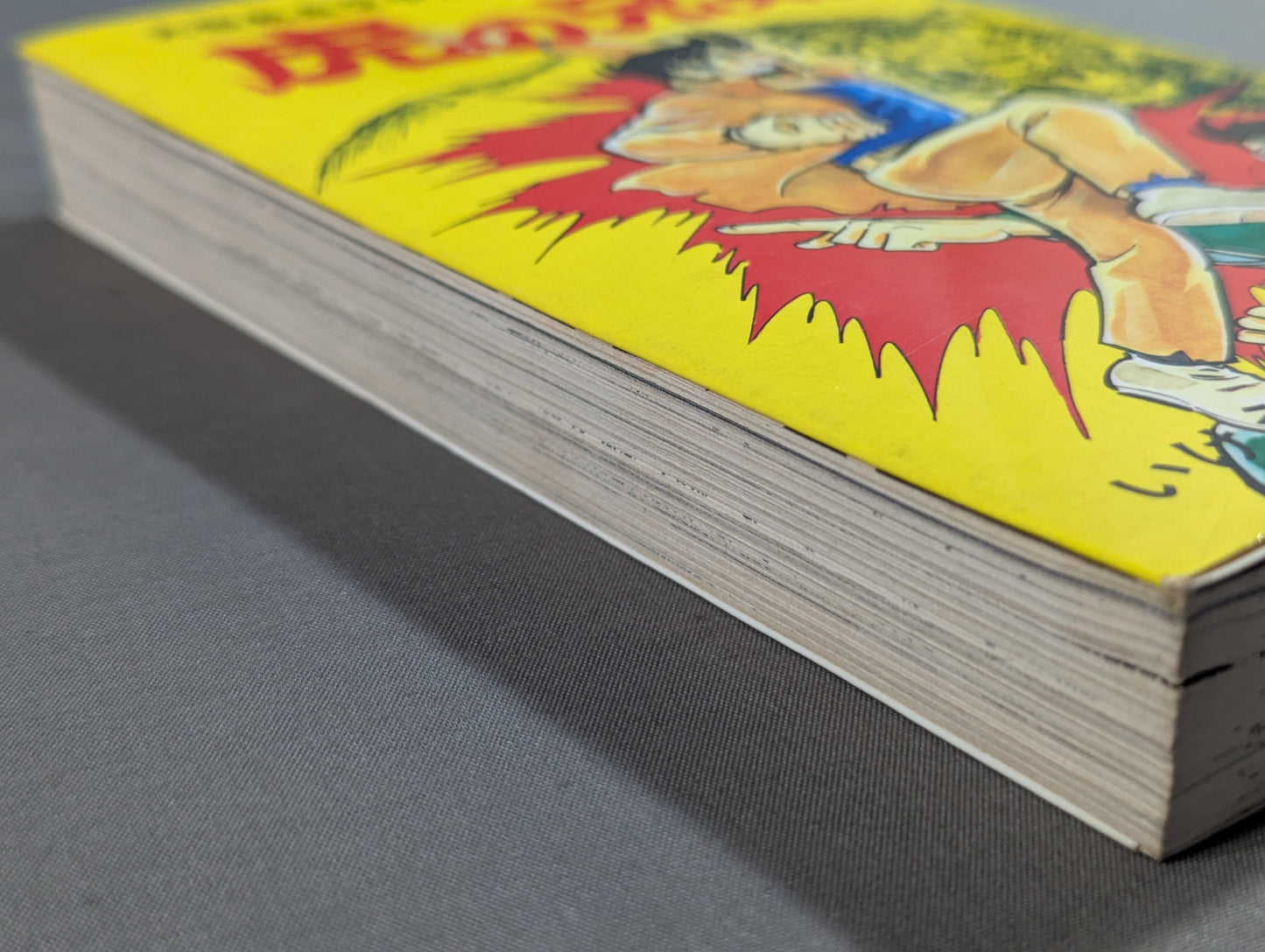 Large-scale Hot-Blooded KARATE Manga: Tiger Brothers