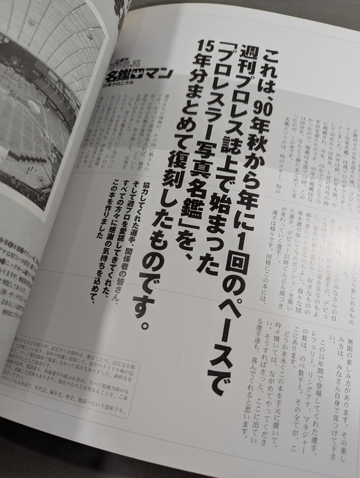 週刊プロレス 名鑑ロマン 15年クロニクル