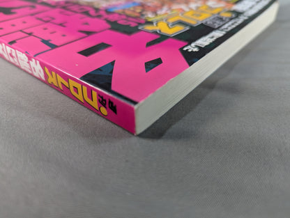 週刊プロレス 名鑑ロマン 15年クロニクル