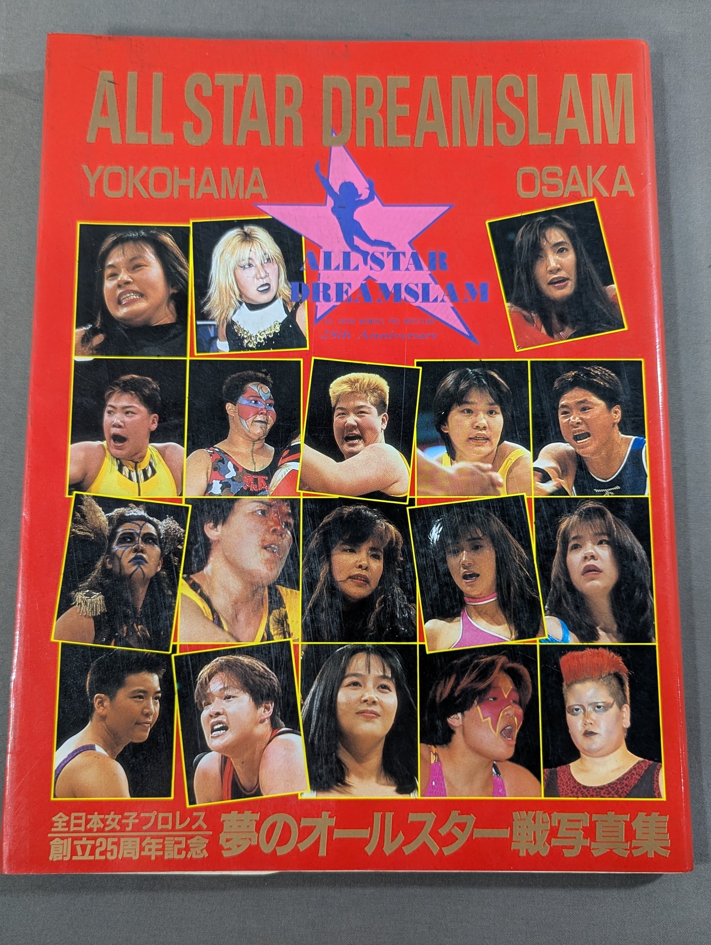 ALL STAR DREAMSLAM(YOKOHAMA OSAKA) 夢のオールスター戦写真集