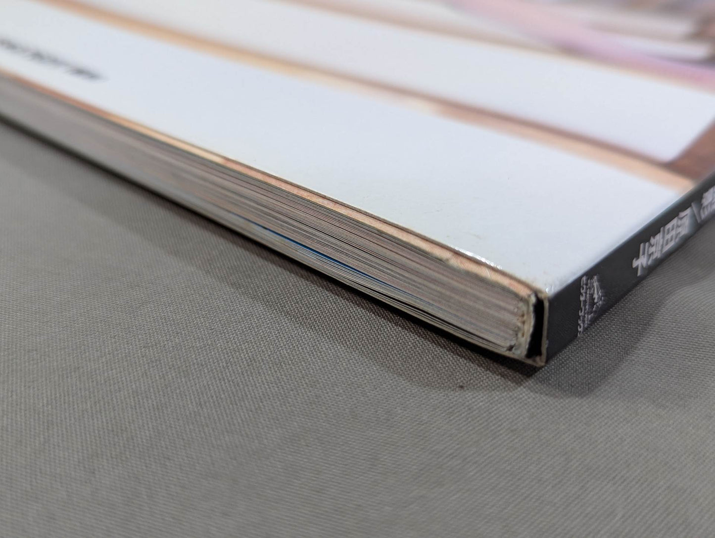 Cutie Suzuki photo collection CUTY MANIA 2